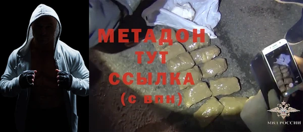 прущие грибы Медногорск