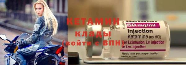 прущие грибы Медногорск