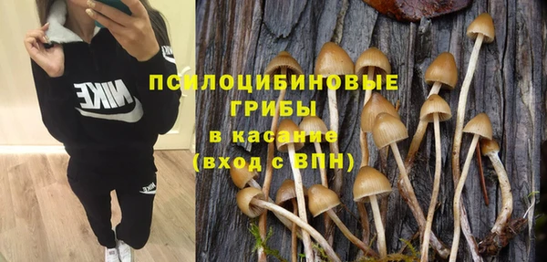 прущие грибы Медногорск