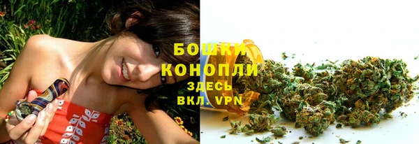 прущие грибы Медногорск