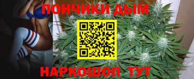 гидропоника Кингисепп
