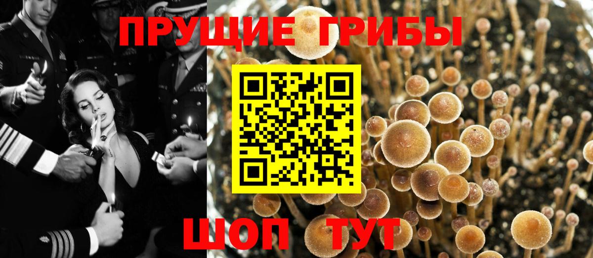 Кохма  Галлюциногенные грибы мухоморы  Вход с VPN 